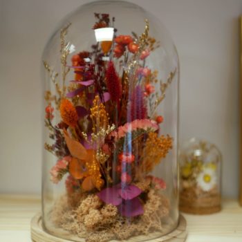 Cloche de fleurs séchées