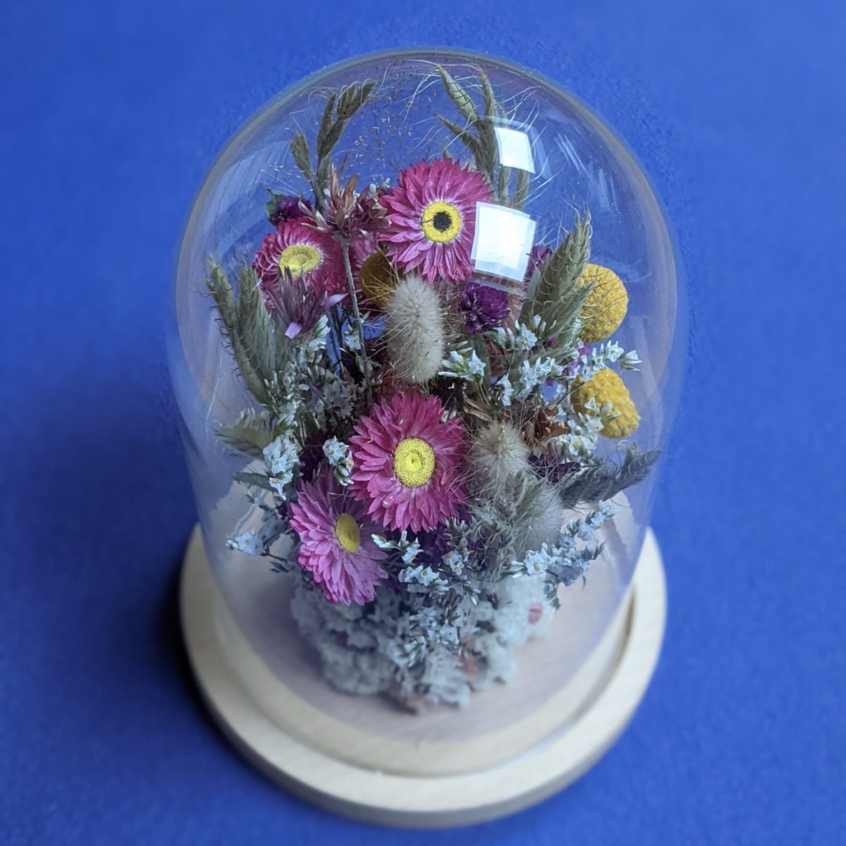 Cloche de fleurs séchées