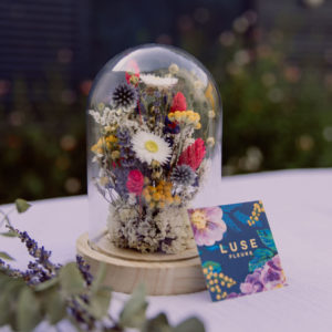Cloche de fleurs séchées
